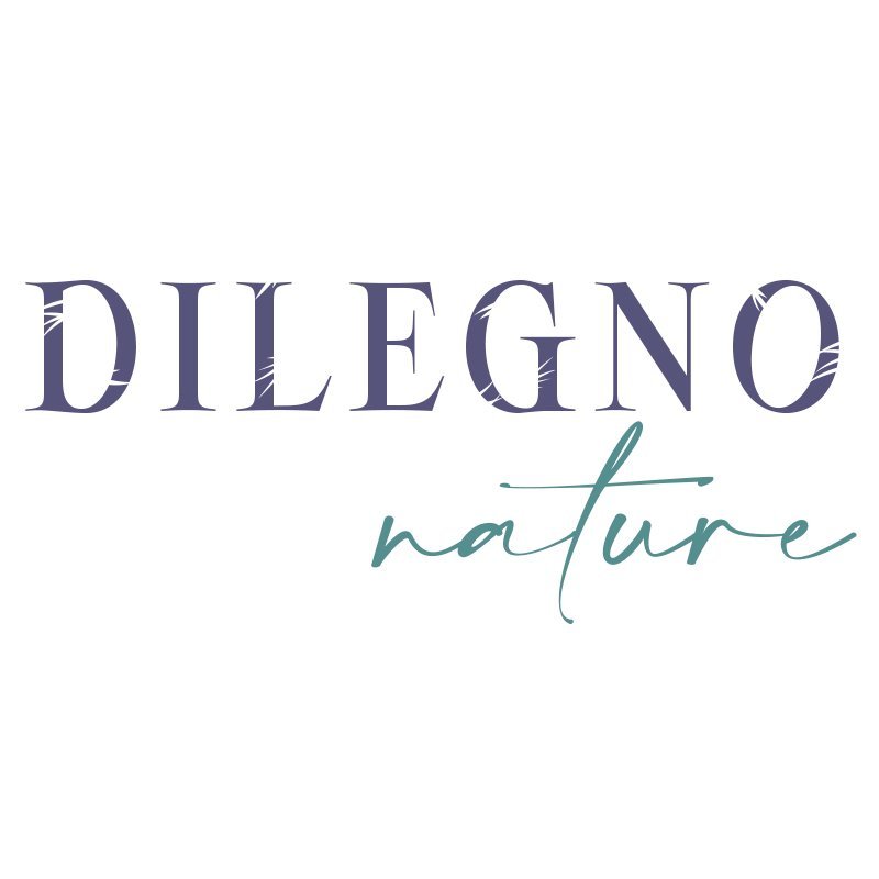 Logotipo Dilegno Nature