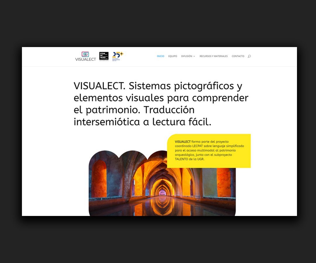 Web Visualect